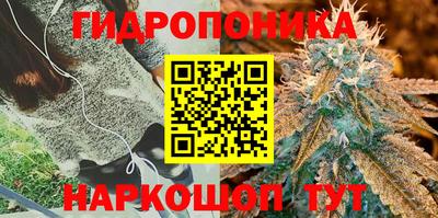 ALPHA-PVP Сланцы