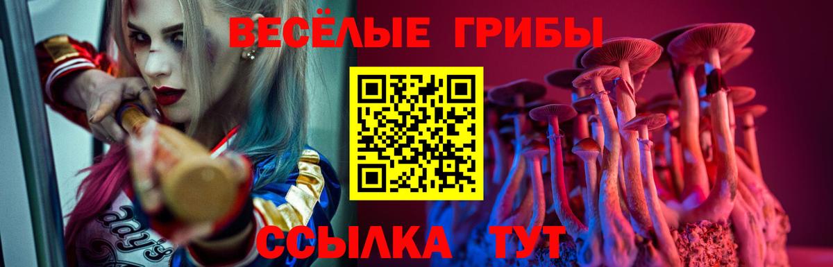 Галлюциногенные грибы ЛСД Новотроицк