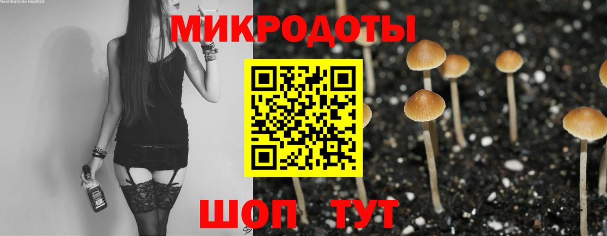 Галлюциногенные грибы Psilocybine cubensis  Вход с VPN  Галлюциногенные грибы мицелий  где продают   Новотроицк 